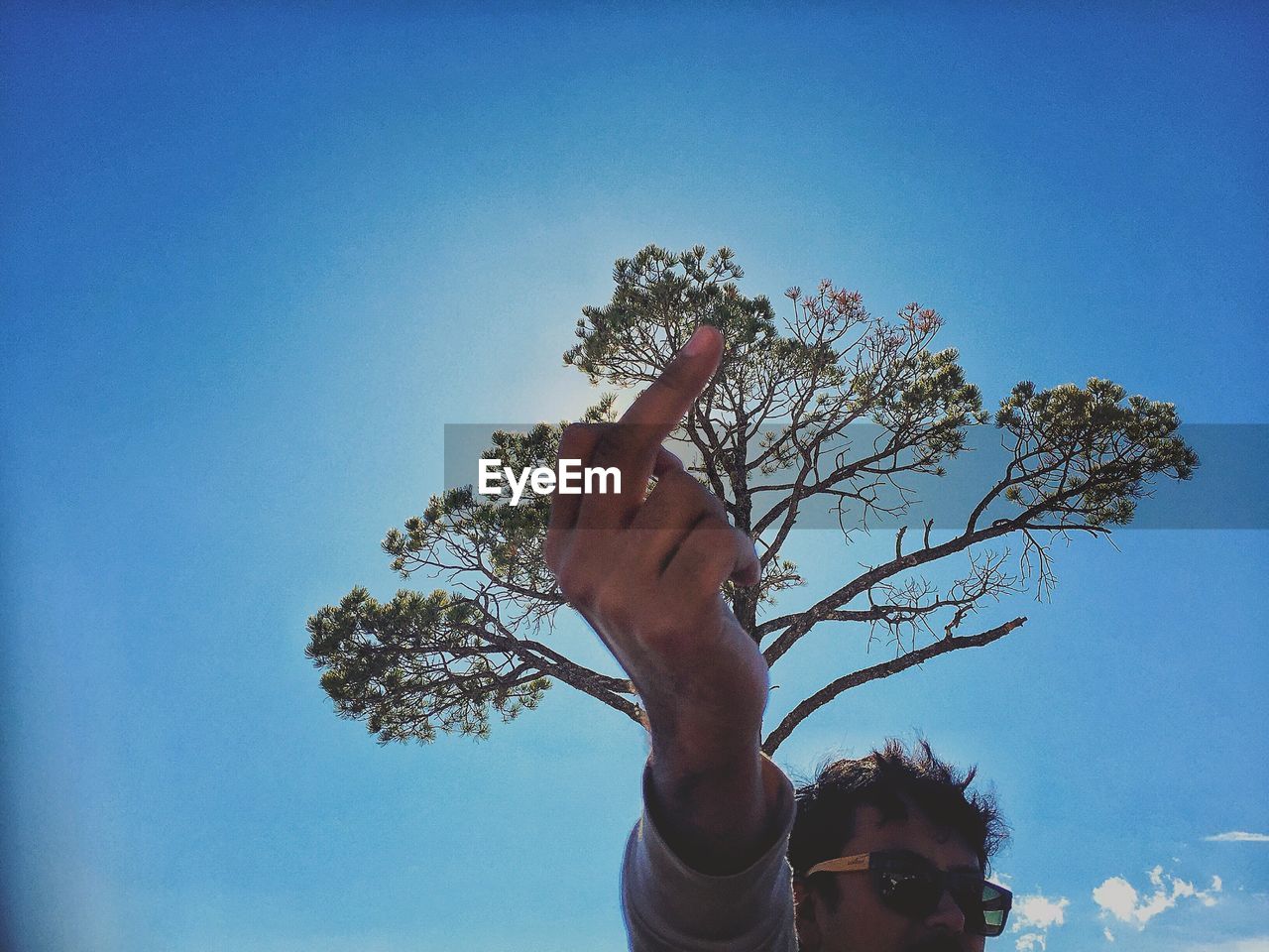 Low angle view of man showing middle finger with tree in background against blue sky