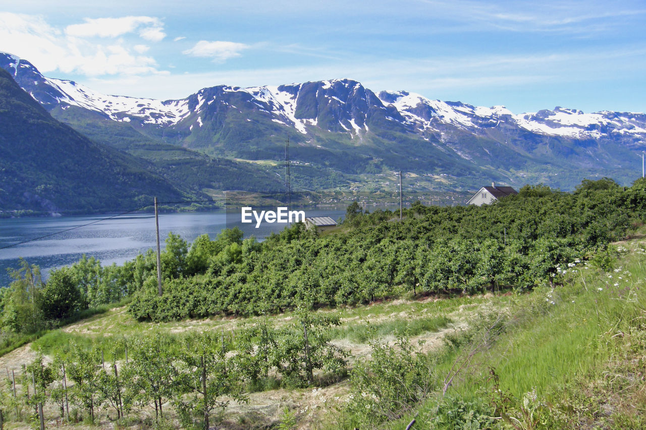 Scenic view of landscape against sky