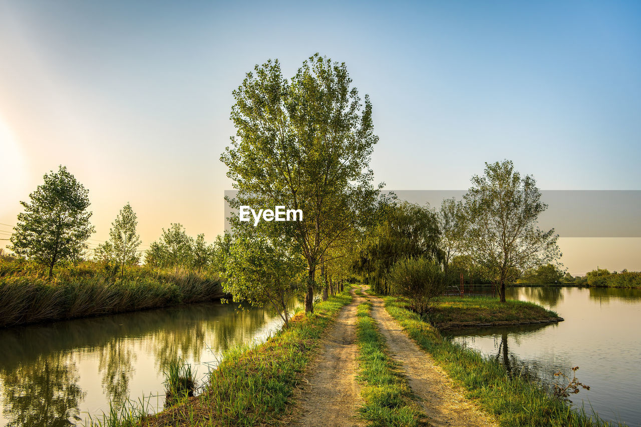 A trail with trees between the river and the lake at sunset