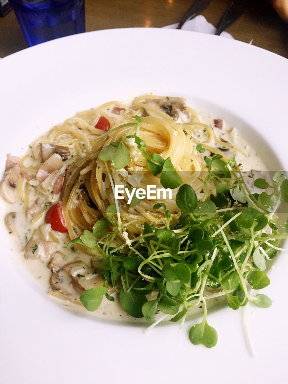 CLOSE-UP OF FOOD ON PLATE