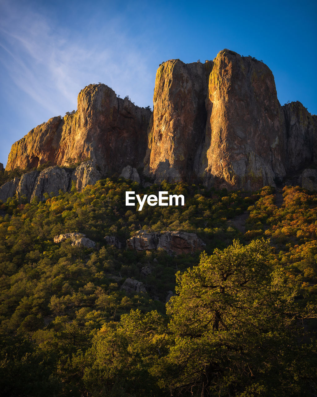 Rock formation by tree against sky in big bend national park - texas