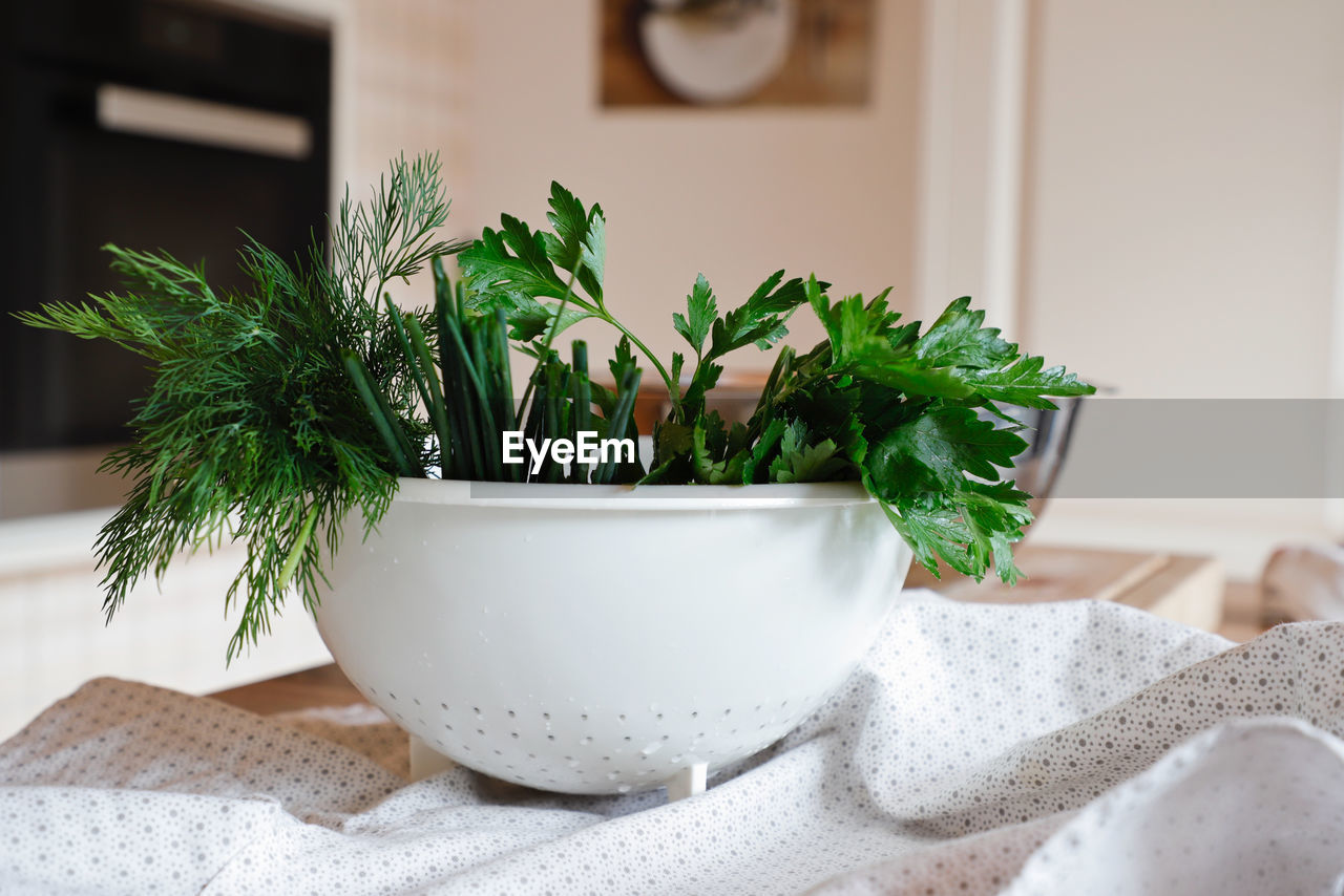 Cooking Cooking At Home Freshness Herb Herbs Close-up Focus On Foreground Food Food And Drink Freshness Healthy Healthy Eating Healthy Food Healthy Lifestyle Herb Quark Indoors  Kitchen Kitchen Utensil Mixer No People Preparation  Preparing Preparing Food Quark Table Wellbeing