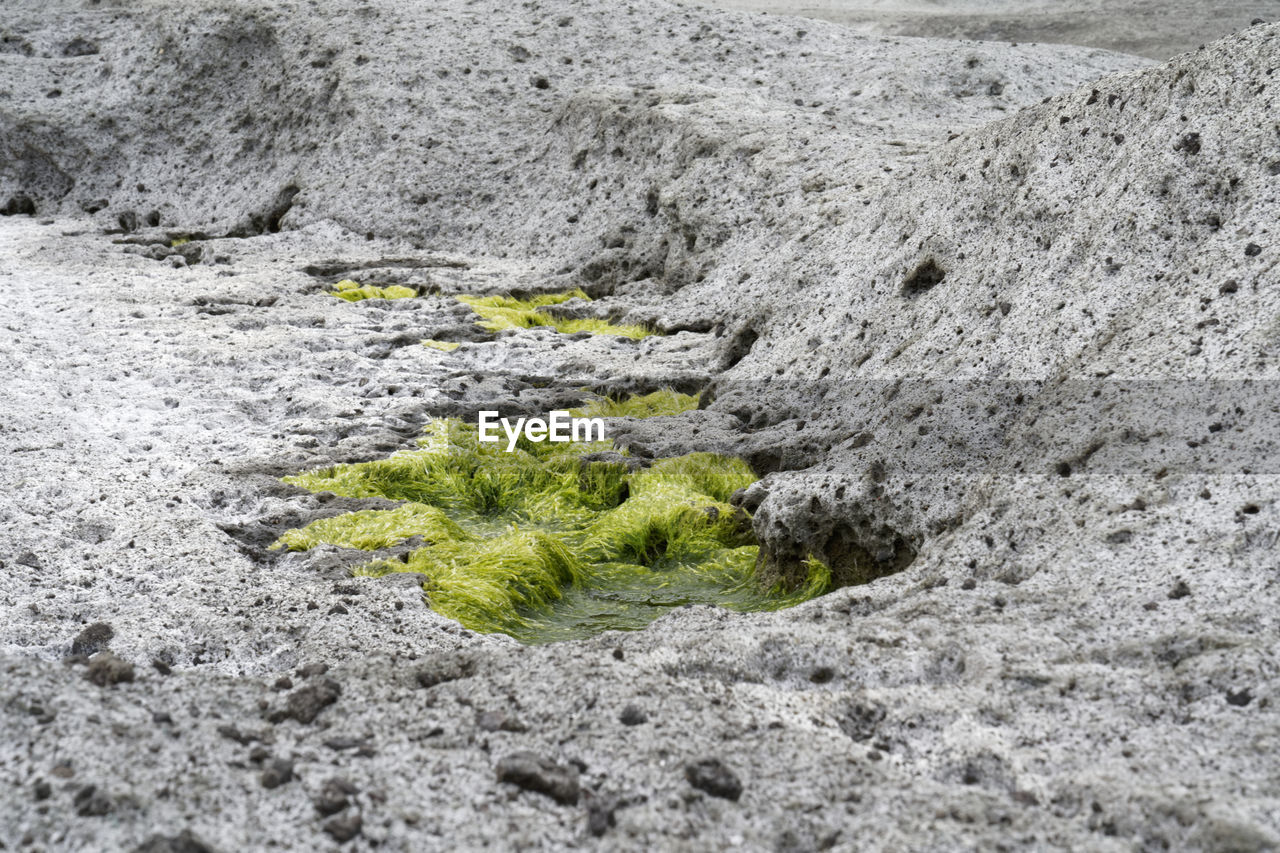 HIGH ANGLE VIEW OF A FIELD