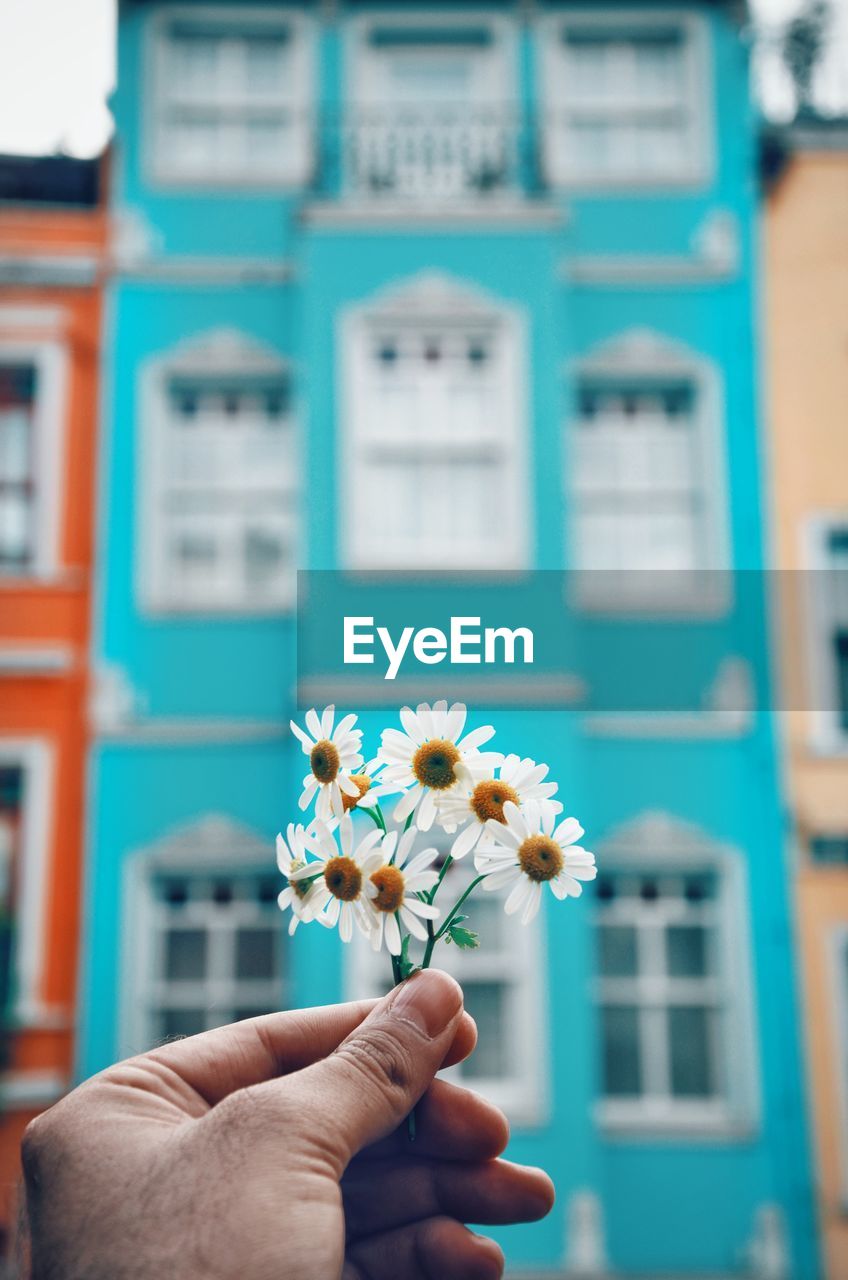 Close-up of hand holding flower against building