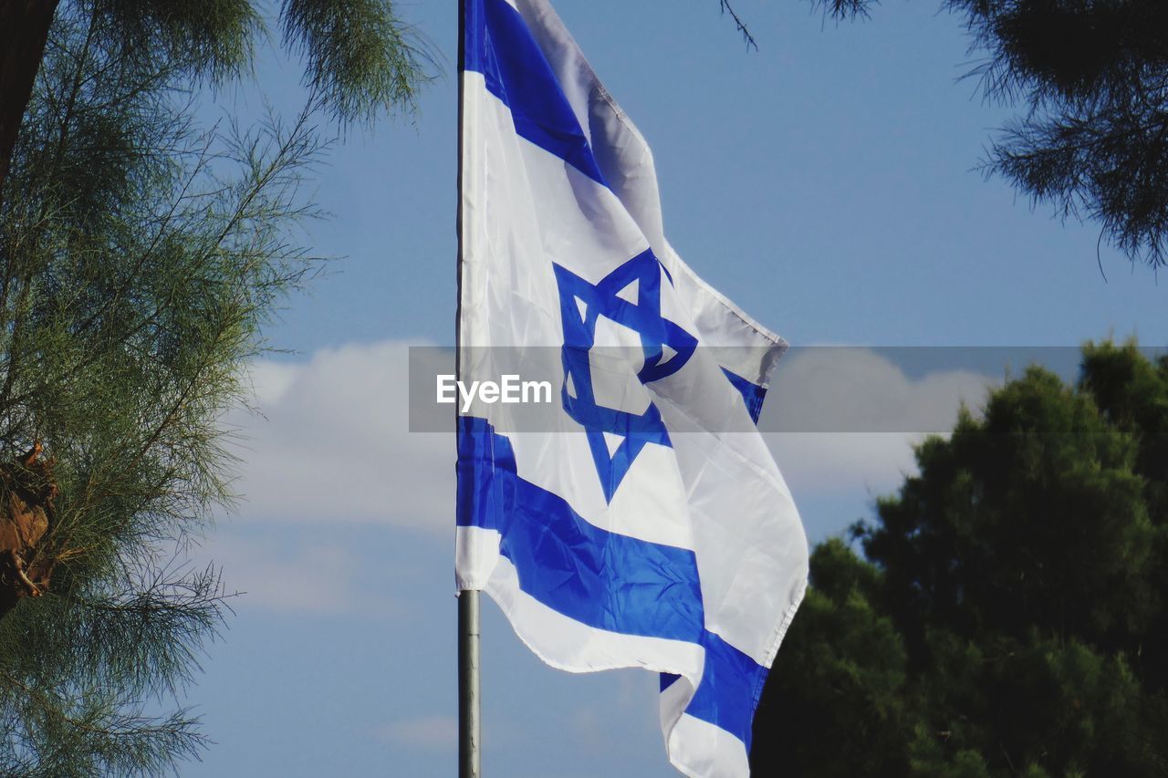 LOW ANGLE VIEW OF FLAG AGAINST TREES