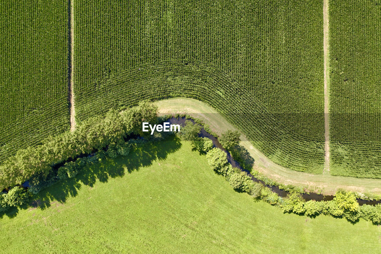 Aerial view of crop fields