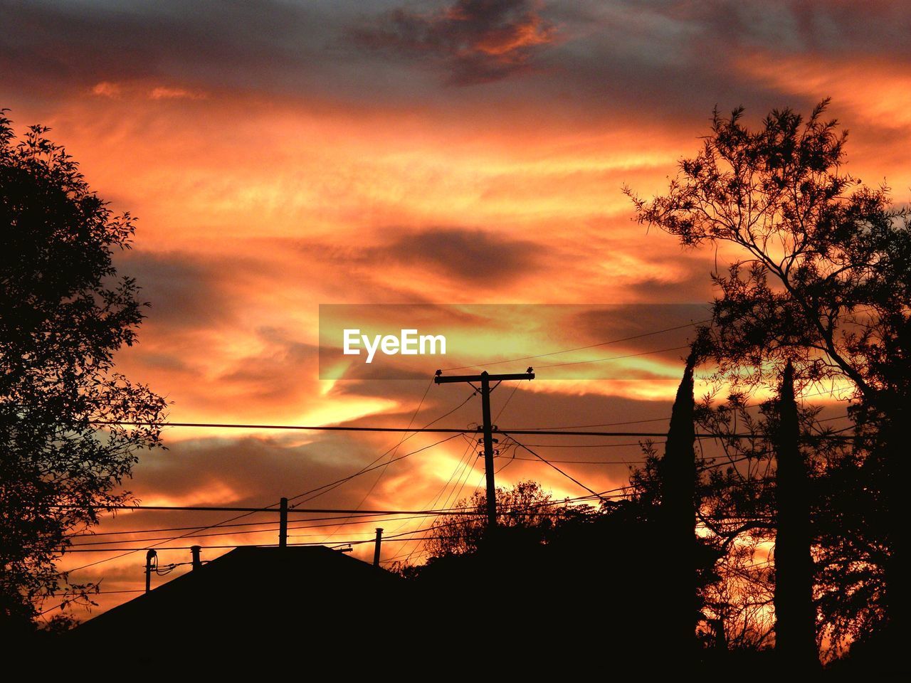 Silhouette of trees against cloudy sky at sunset