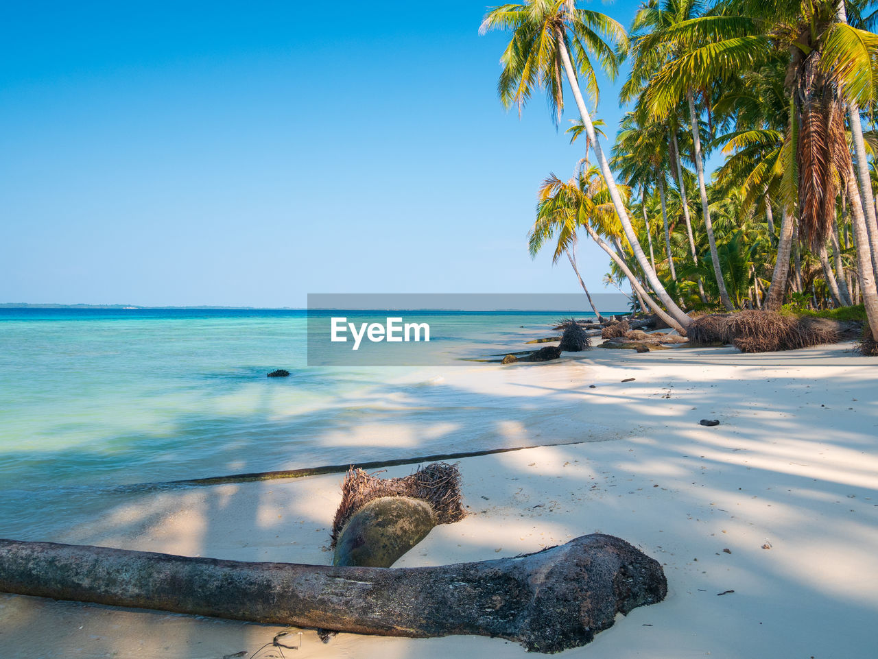 water, sea, tropical climate, land, palm tree, beach, ocean, nature, tree, shore, sky, beauty in nature, vacation, tranquility, scenics - nature, travel destinations, body of water, tranquil scene, coast, travel, sand, relaxation, horizon over water, island, blue, idyllic, trip, holiday, plant, horizon, coconut palm tree, bay, tropics, tropical tree, day, sunlight, outdoors, no people, clear sky, tourism, environment, sunny, seascape, lagoon, summer, underwater, coastline