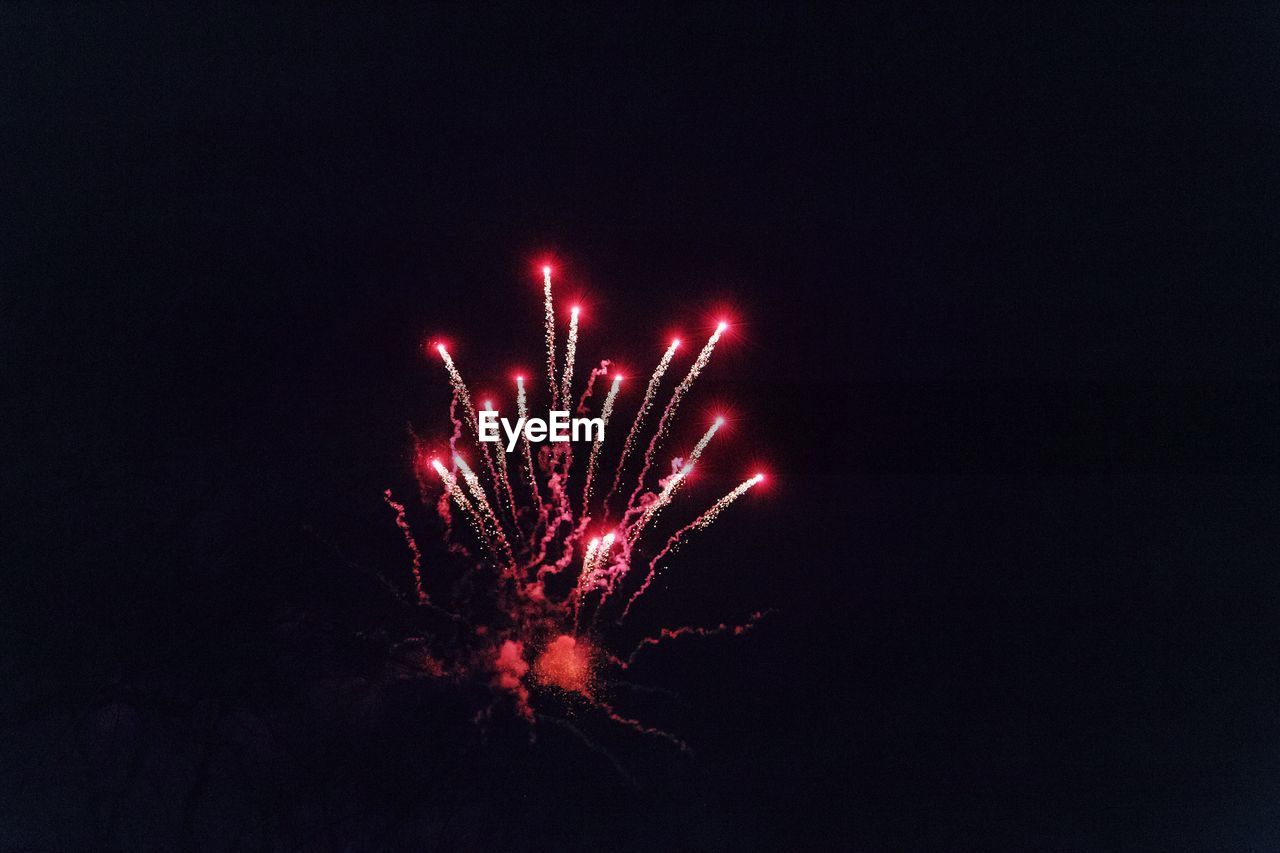 Low angle view of firework display against sky at night