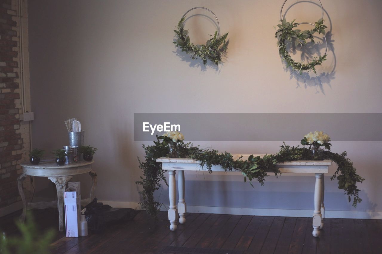 POTTED PLANTS ON WALL AT HOME