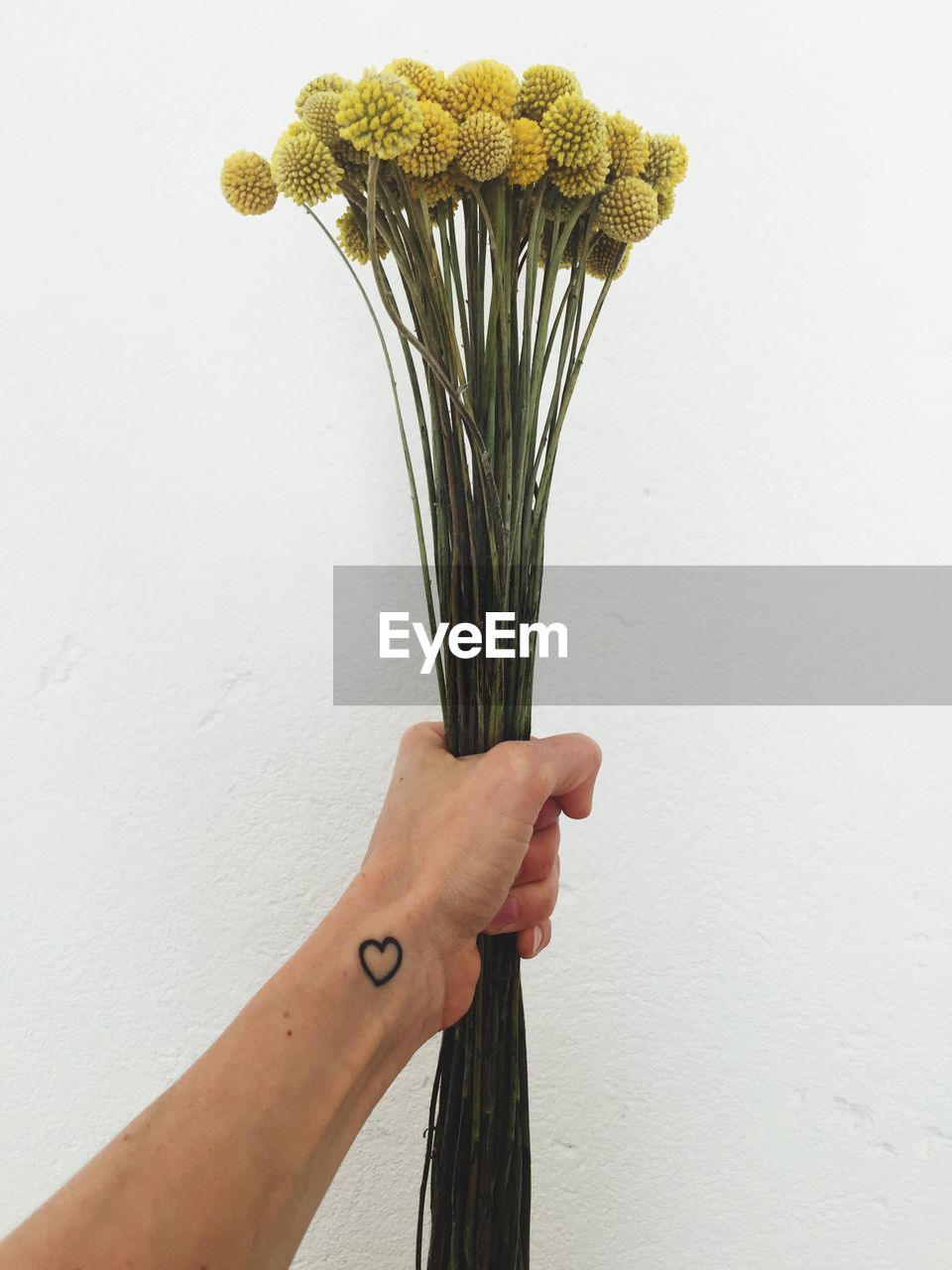 Cropped hand with heart shape tattoo holding yellow flowers against white background