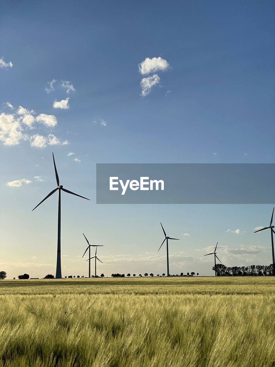 sky, wind, wind turbine, nature, windmill, wind power, turbine, line, renewable energy, electricity, power generation, alternative energy, environmental conservation, no people, built structure, sunlight, architecture, technology, environment, day, cloud, low angle view, outdoors, blue, light