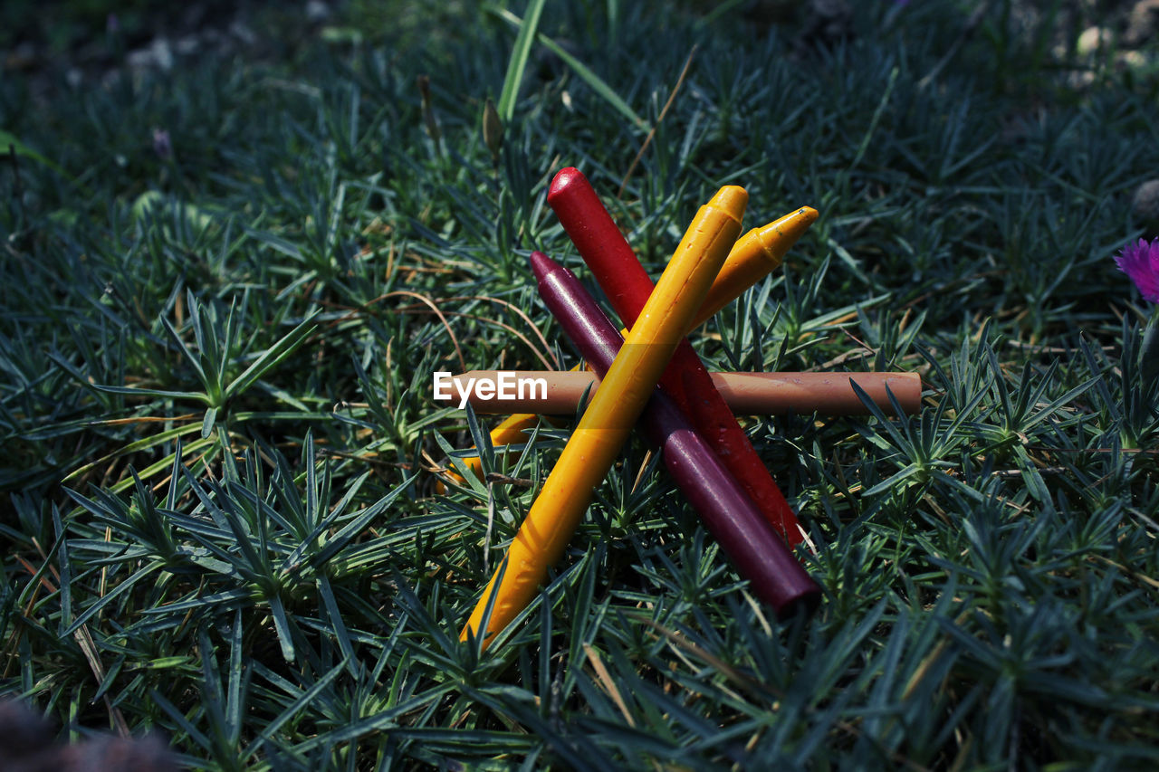 Close-up of crayons on grass