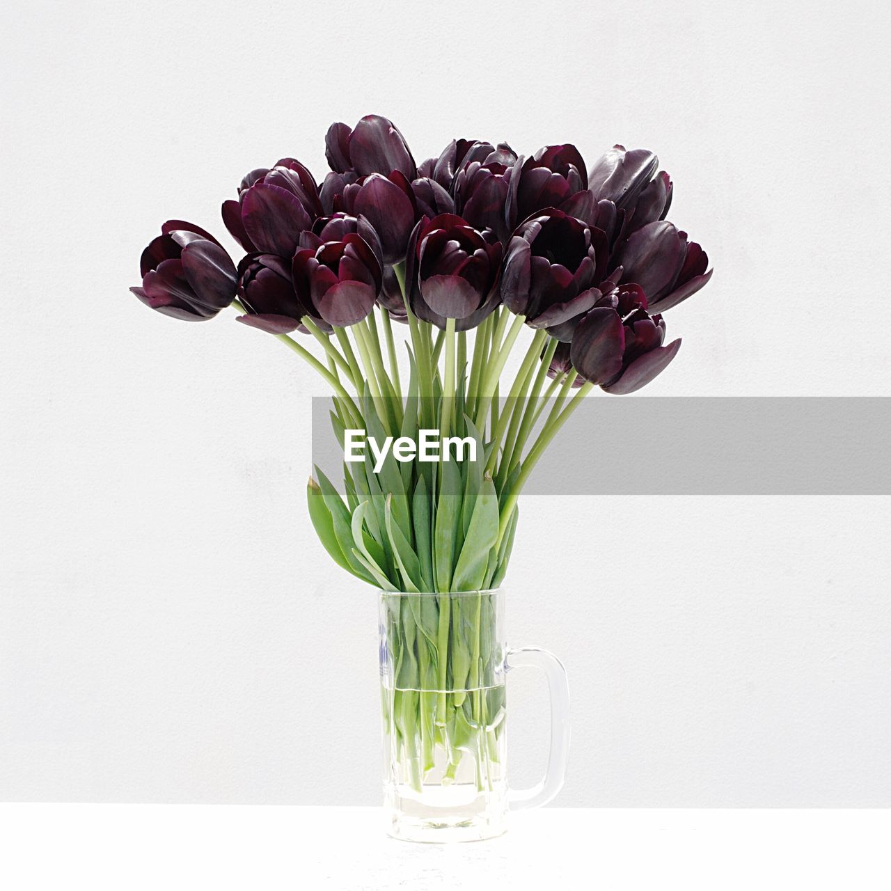 Close-up of maroon tulips in vase