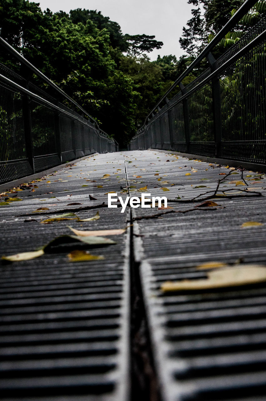 WOODEN FOOTBRIDGE LEADING TO BRIDGE