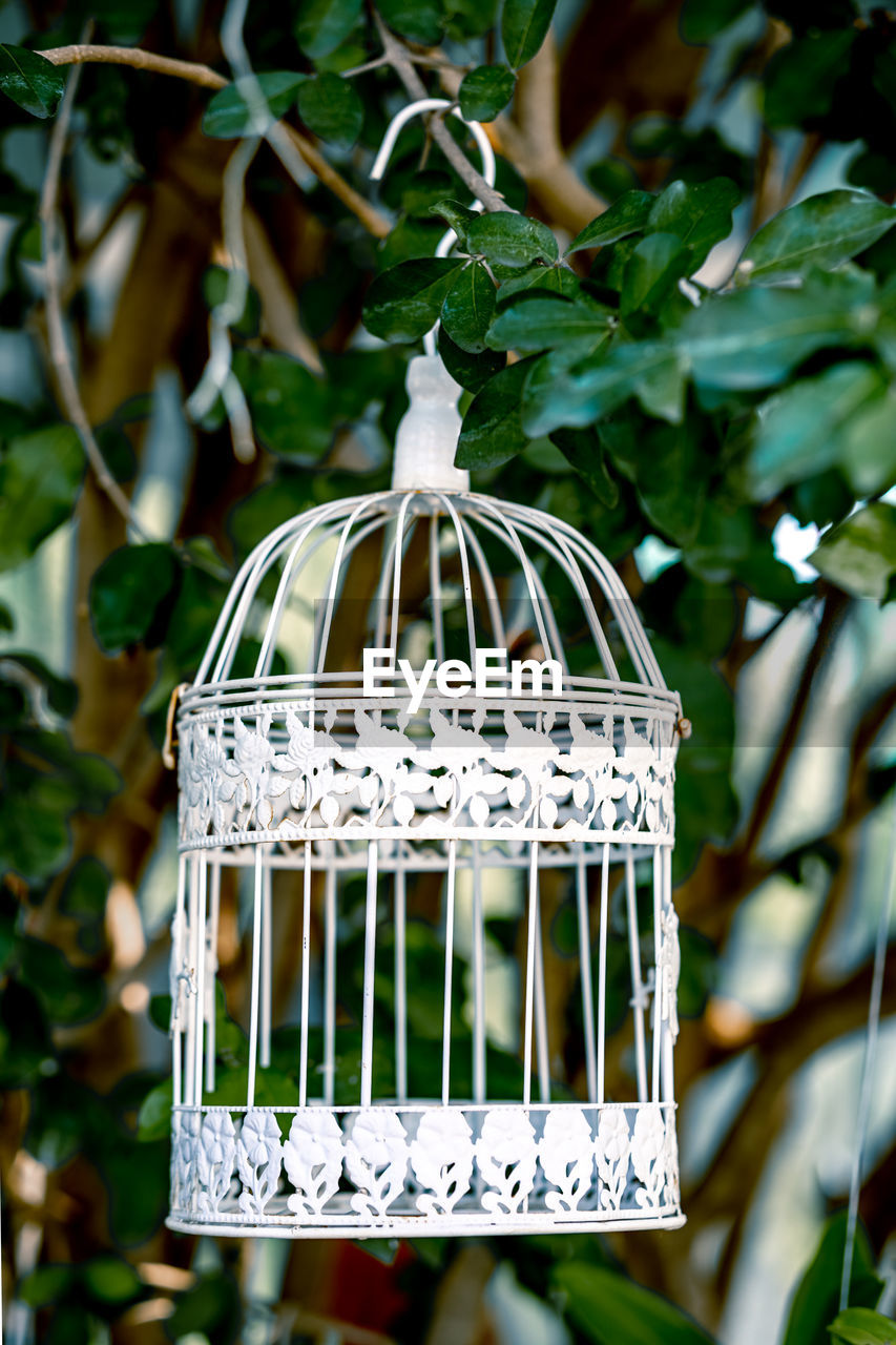 CLOSE-UP OF METALLIC STRUCTURE HANGING ON TREE