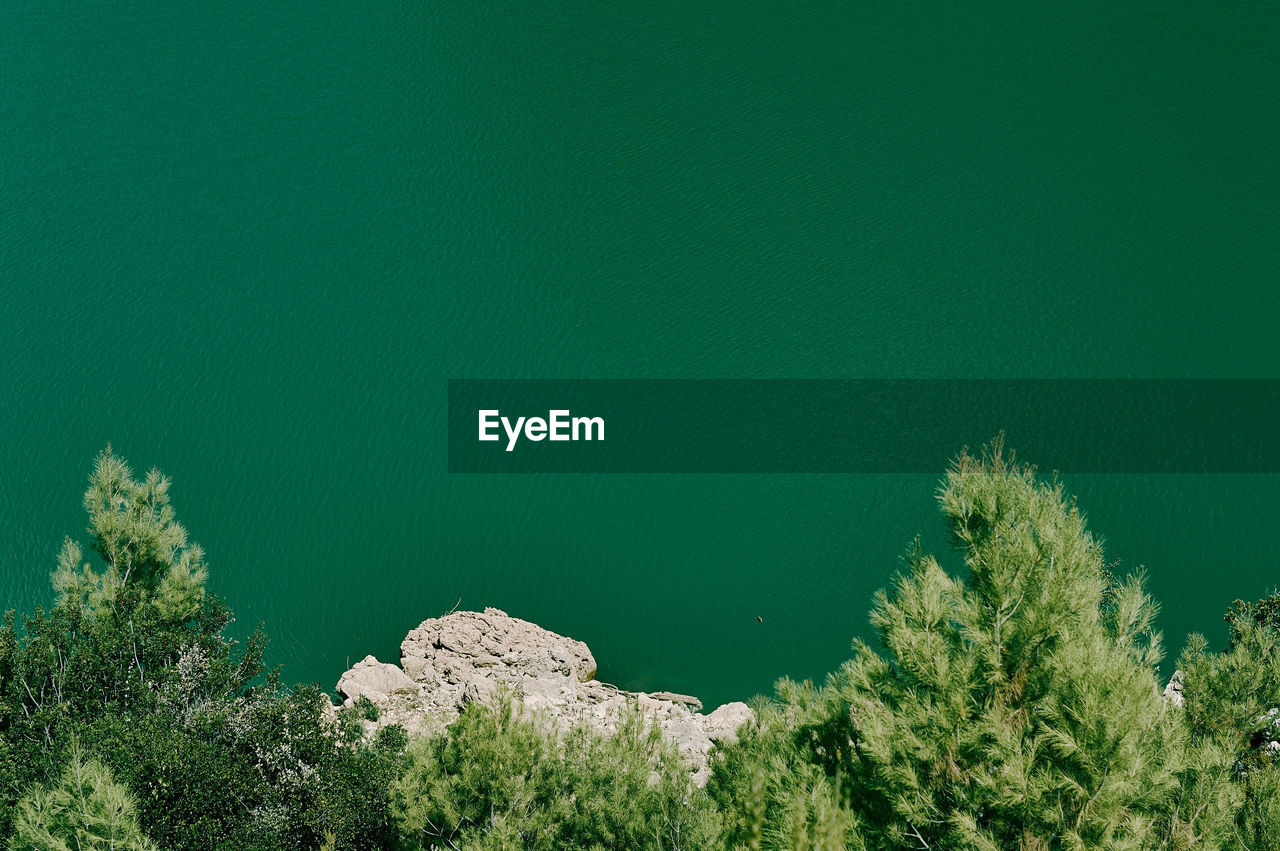 High angle view of trees by sea