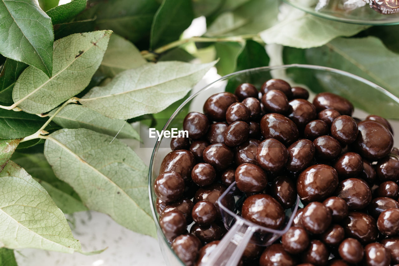 Close-up of chocolates with spoon in bowl by plant on table