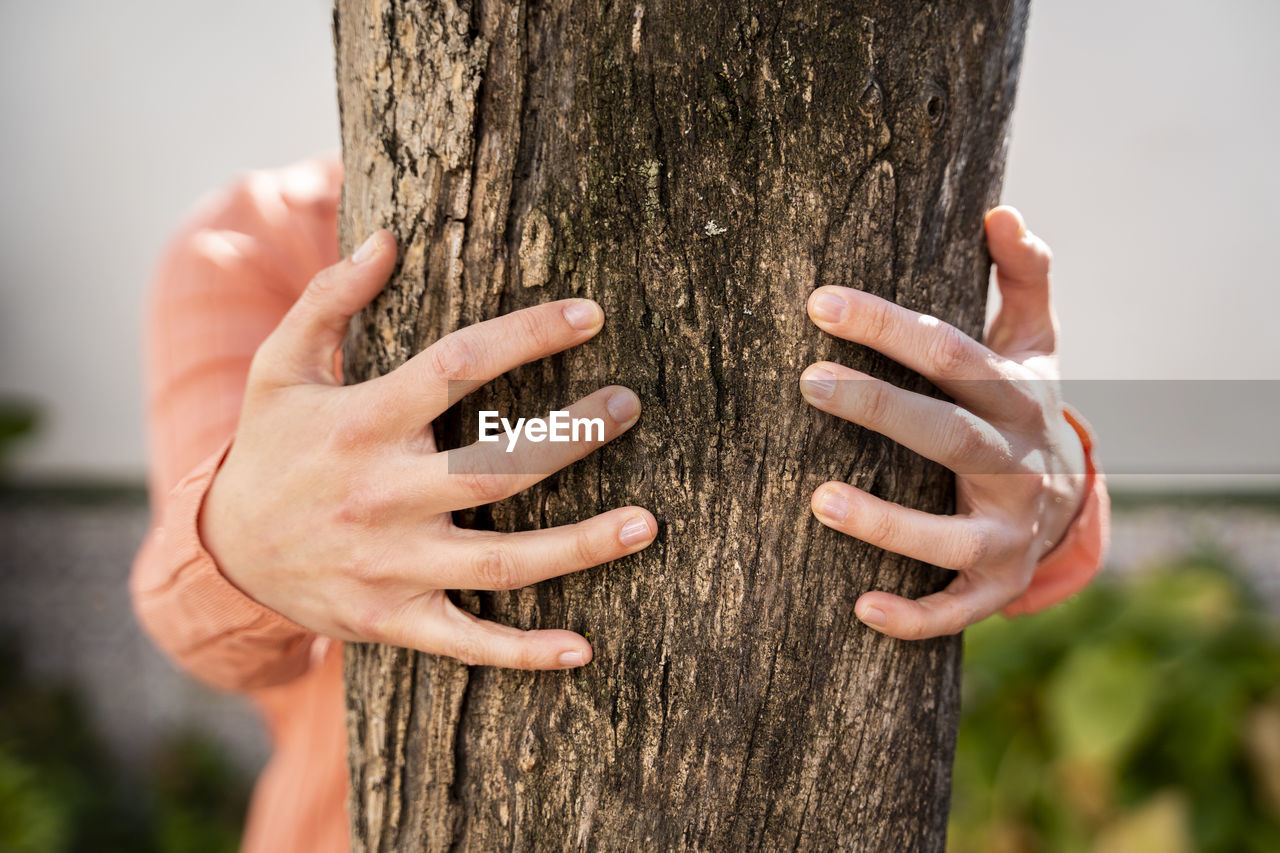 Woman embracing tree trunk in garden