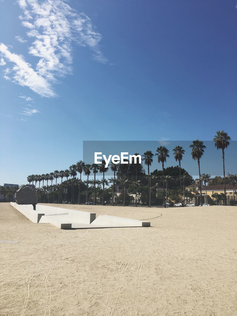 PALM TREES ON BEACH AGAINST BLUE SKY