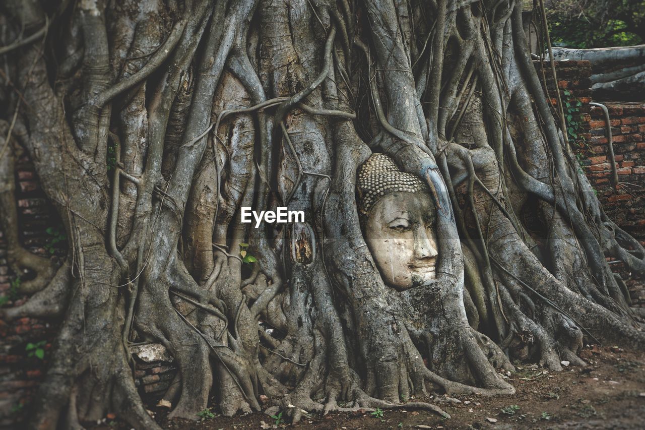 VIEW OF STATUE OF TREE TRUNK