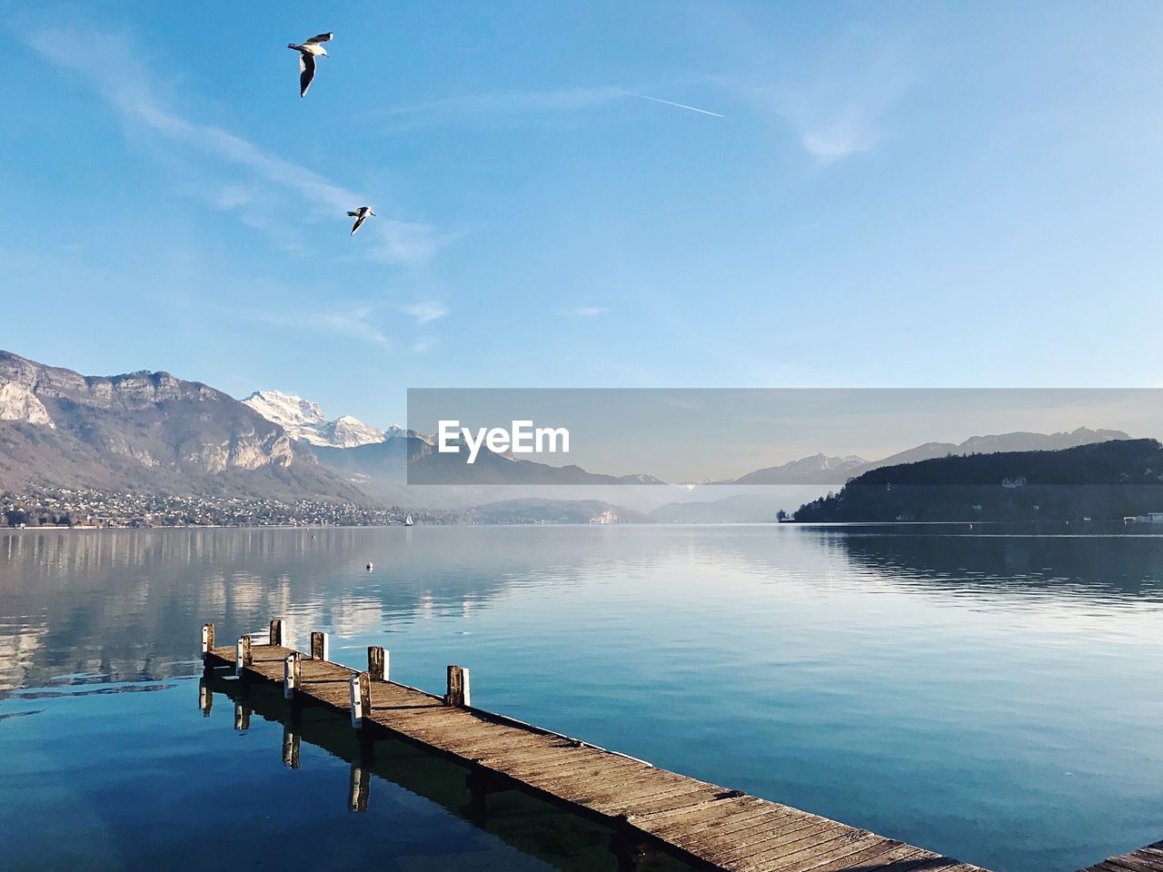 VIEW OF BIRDS FLYING OVER LAKE