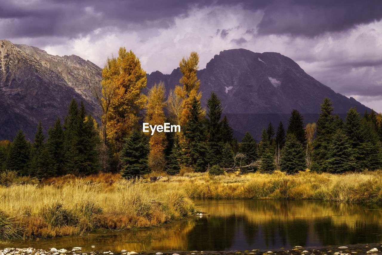 Scenic view of lake by trees against sky