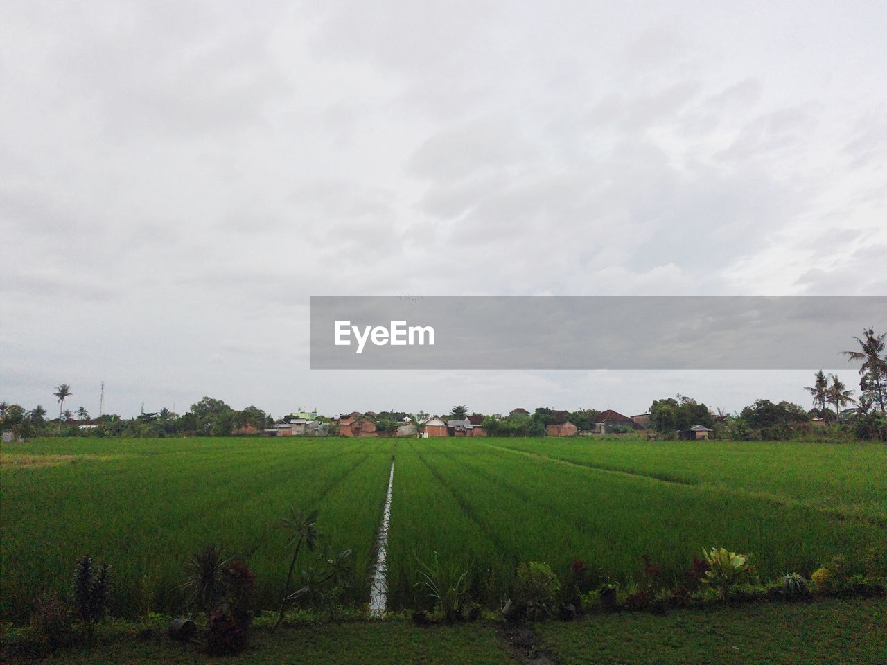 SCENIC VIEW OF AGRICULTURAL LANDSCAPE AGAINST SKY