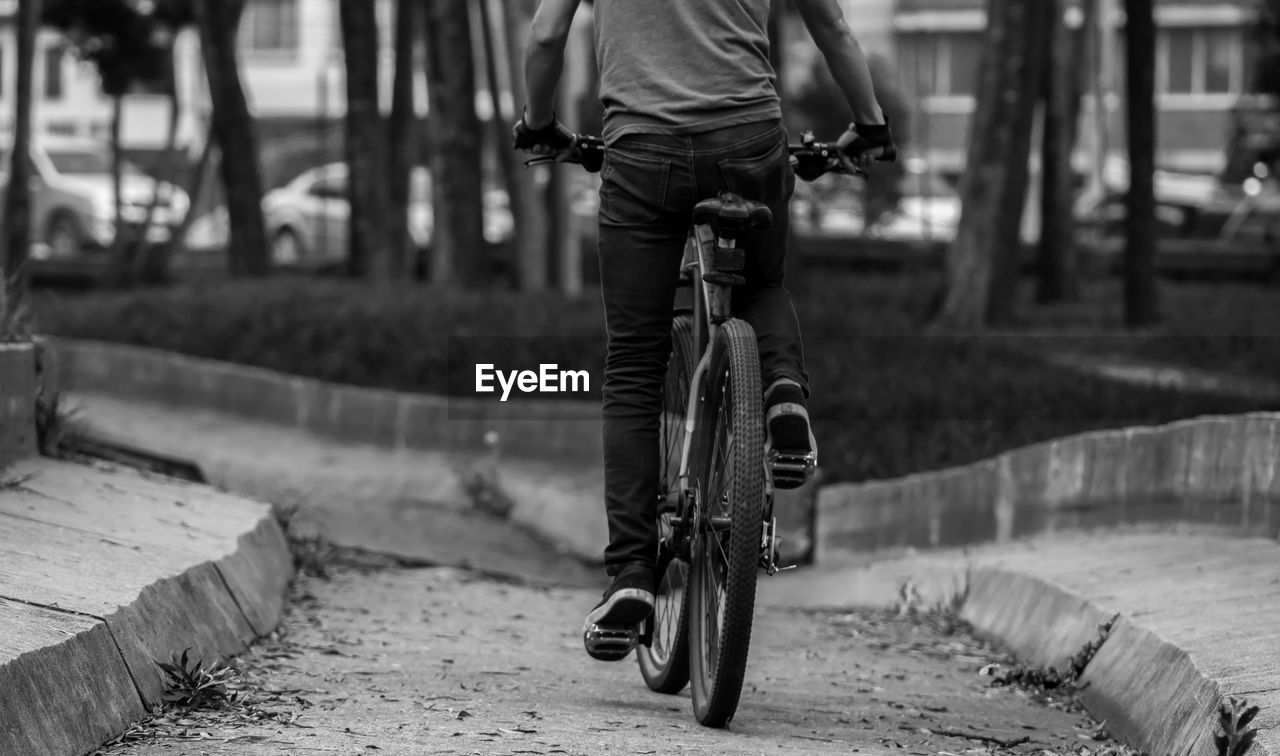 Rear view of man riding bicycle on footpath in park