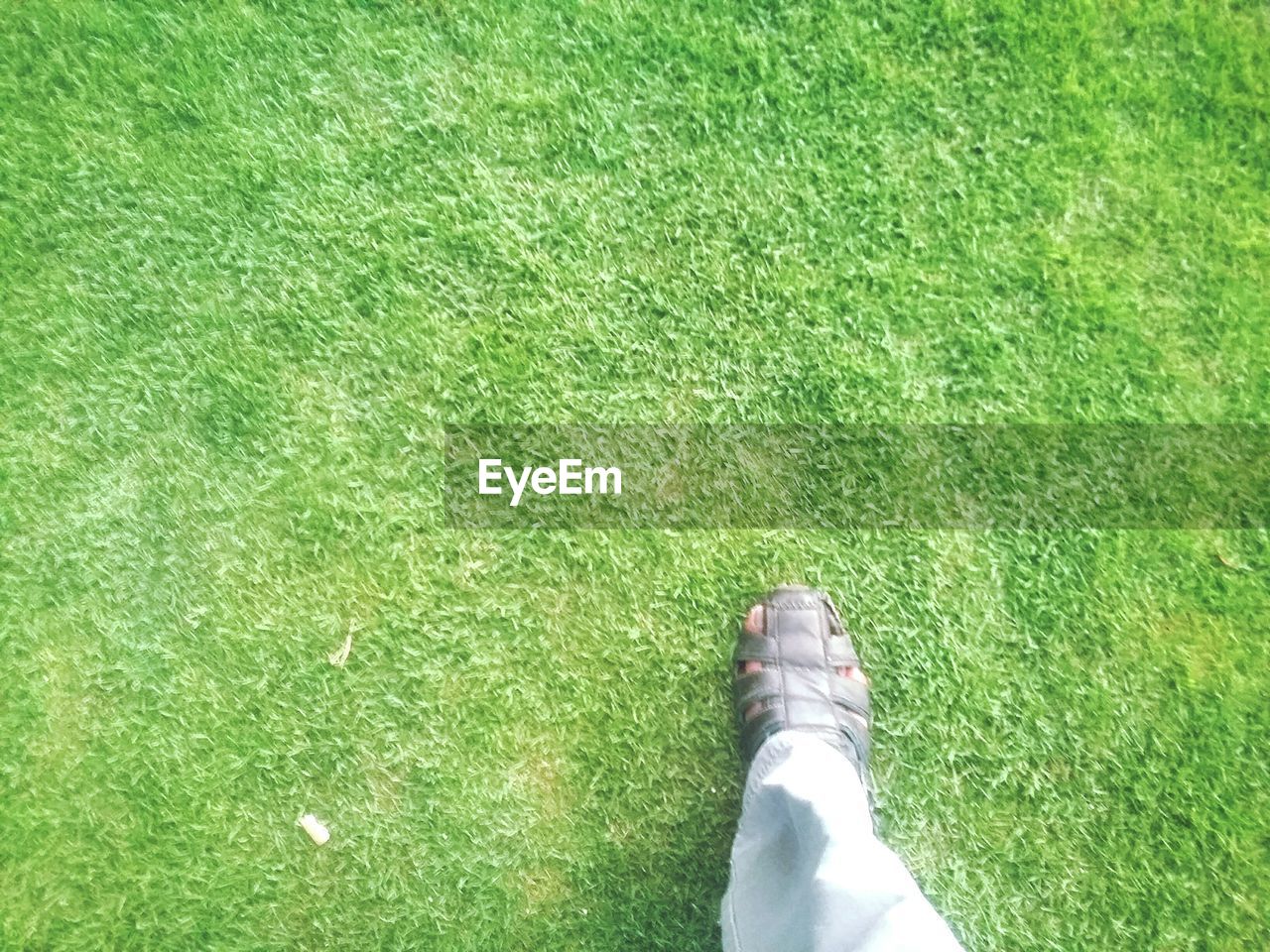 LOW SECTION OF MAN STANDING ON GRASSLAND