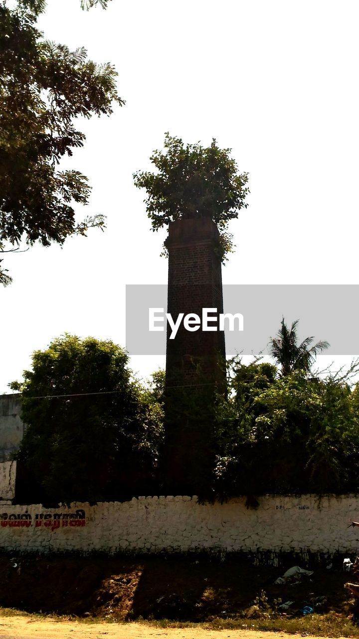 VIEW OF TREES AGAINST CLEAR SKY