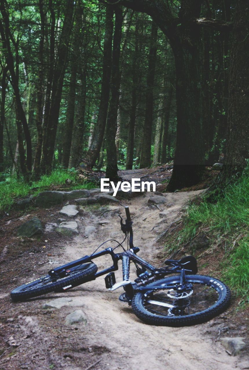 Fallen bicycle on pathway