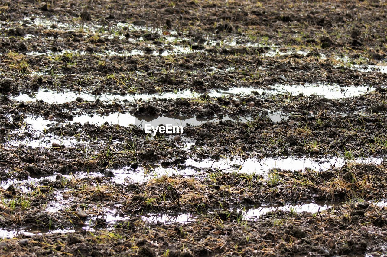 FULL FRAME SHOT OF SNOW COVERED LAND