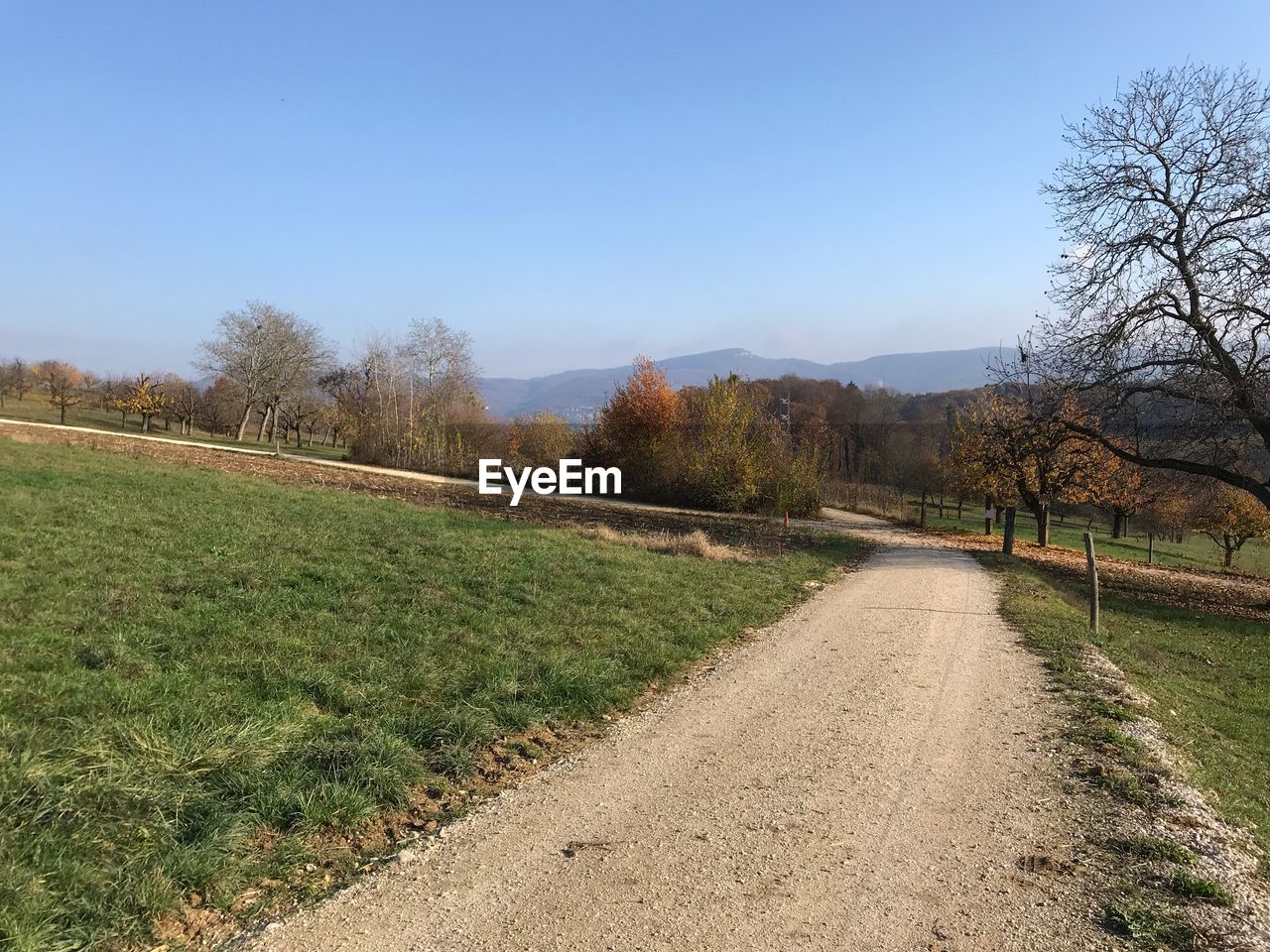 Road amidst field against clear sky