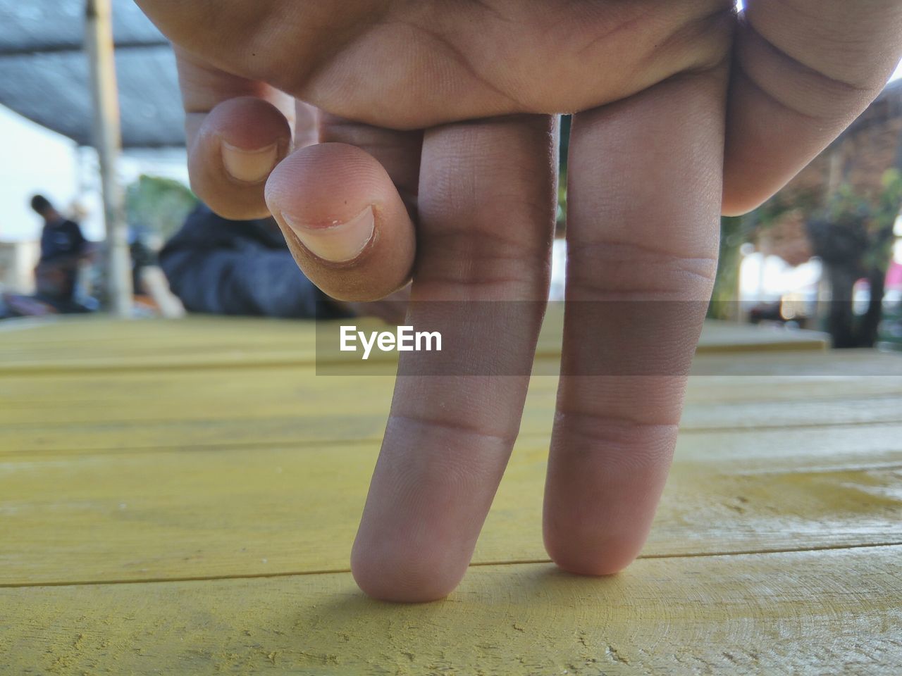 Cropped hand of person on wood