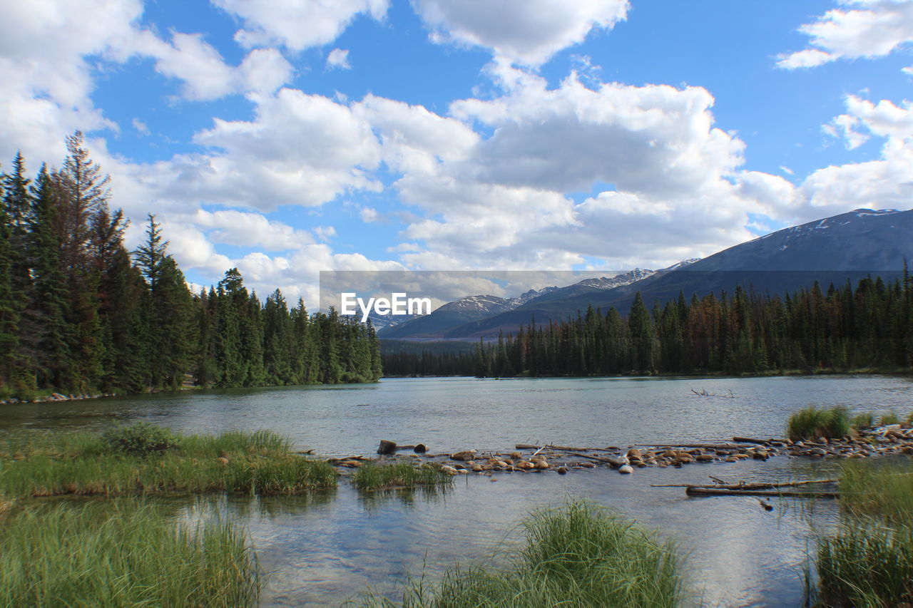 SCENIC VIEW OF LAKE AND TREES AGAINST SKY