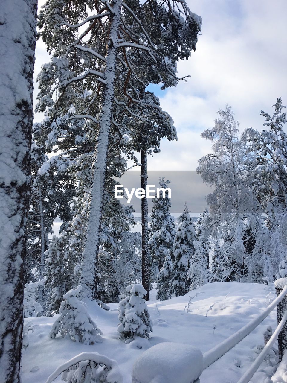 VIEW OF SNOW COVERED LAND AGAINST SKY