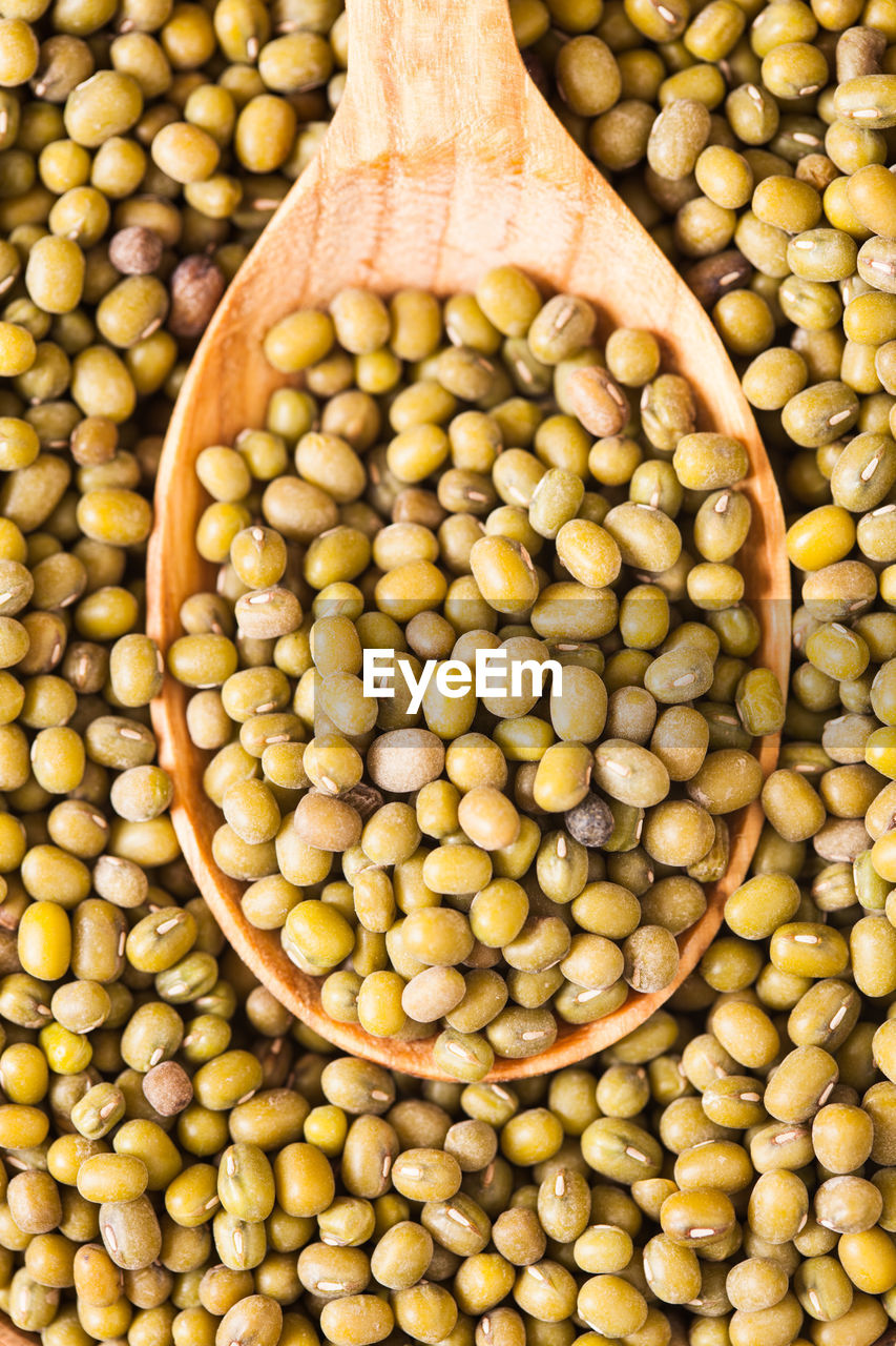 DIRECTLY ABOVE SHOT OF FRESH BEANS IN CONTAINER AGAINST GREEN BACKGROUND