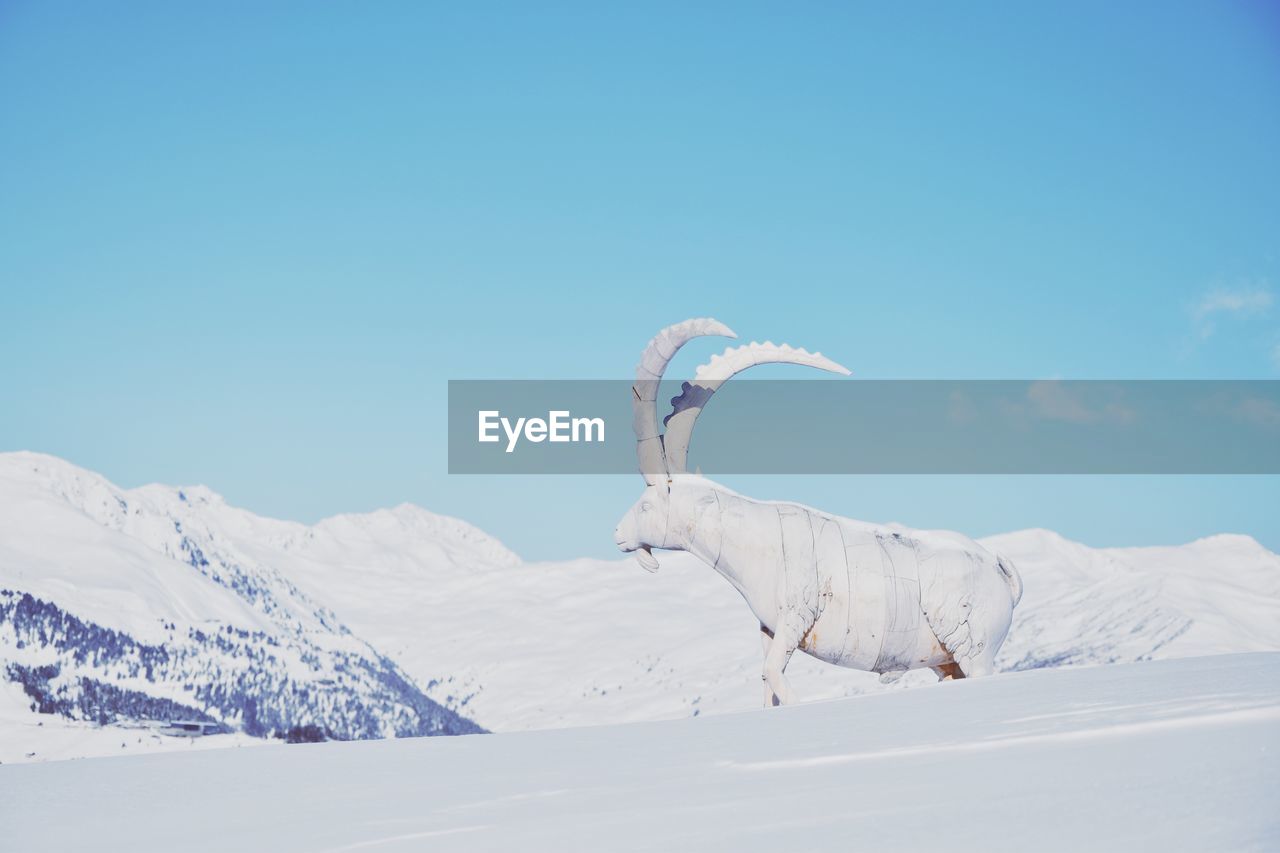 Scenic view of snowcapped mountain against blue sky