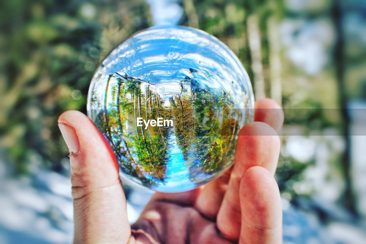 Close-up of man holding glass sphere against trees
