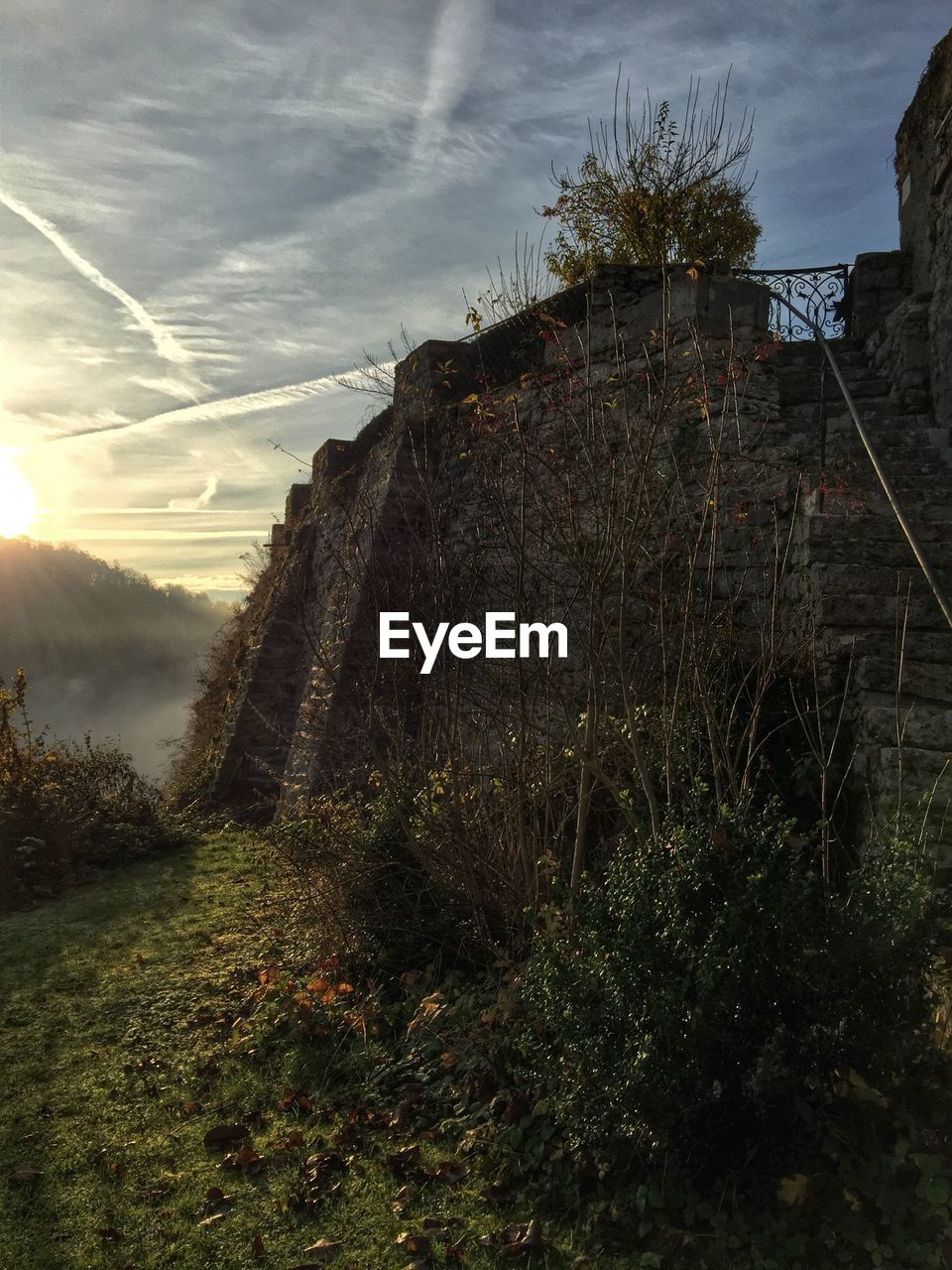 Protective wall grown with plants