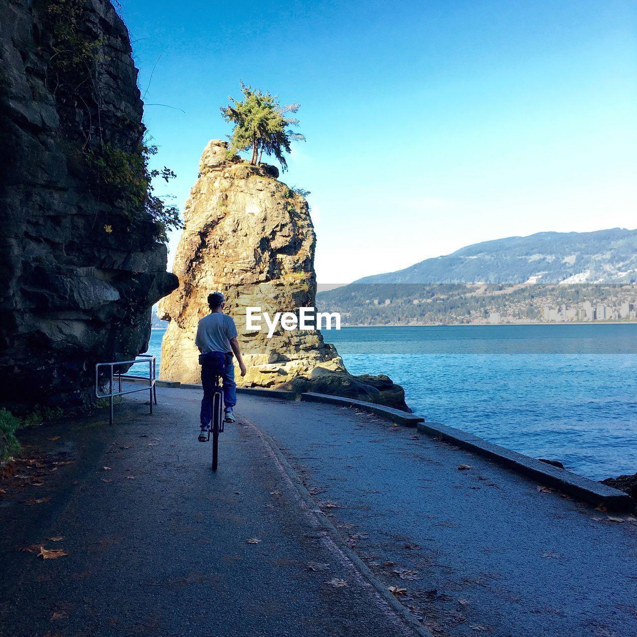 Rear view of man riding bicycle on street by sea