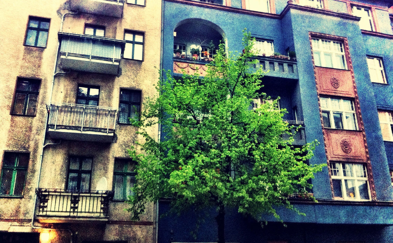 Low angle view of tree against building