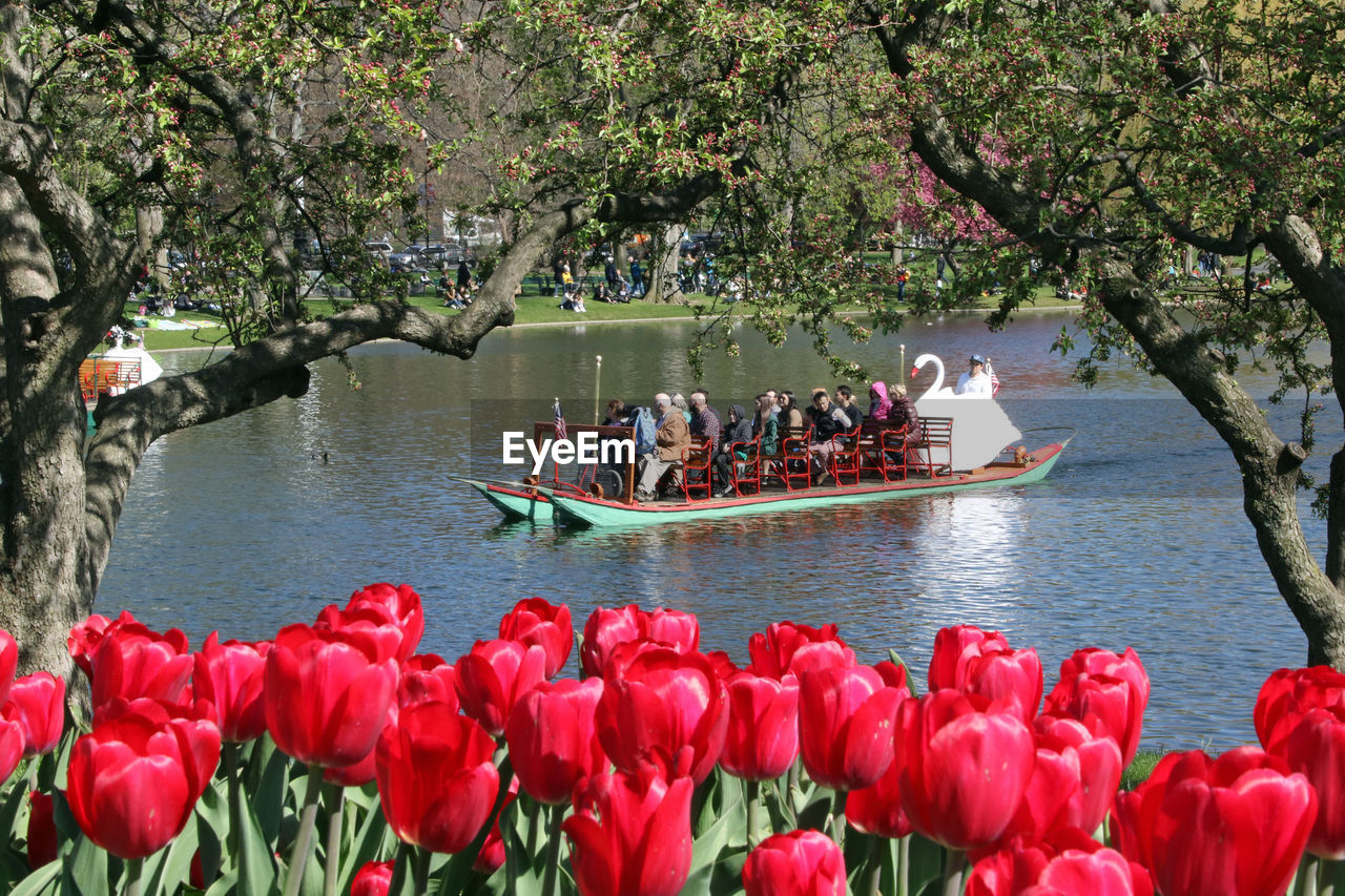 GROUP OF PEOPLE IN BOAT AGAINST PLANTS