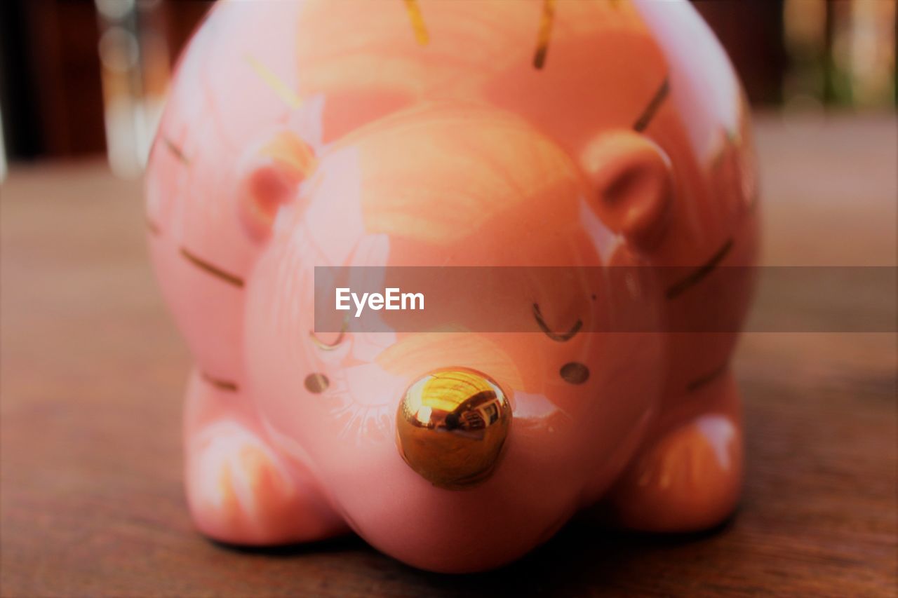 Close-up of piggy bank