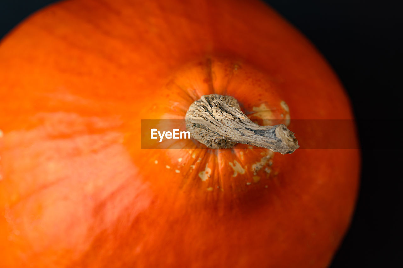 Close-up of pumpkin against orange background