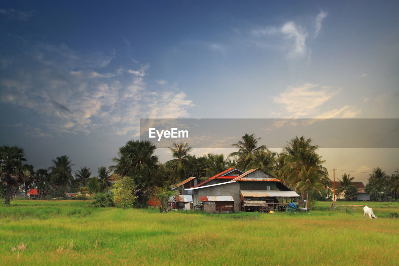 Countryside landscape with a typical asian building in kampot province in southern cambodia, asia.
