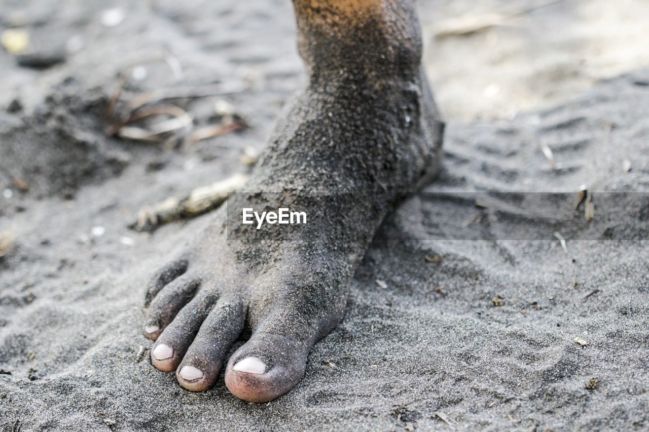 Low section of person with dirty leg standing at sandy beach