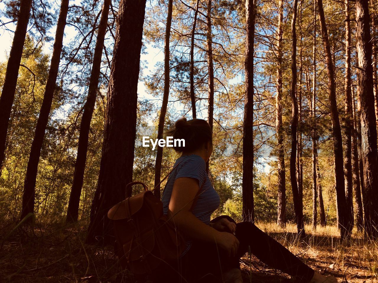 Side view of woman sitting on land against trees in forest