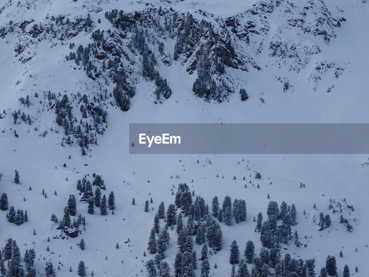 Scenic view of snow covered land and trees against sky